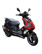 MEIDUO T19 MD50QT-9 (H)