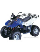 Quad DINLI T-REX 50cc