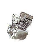 MOTOR - 244FMI (CBT125)