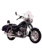 Cruiser 125 (Bicinindr.)