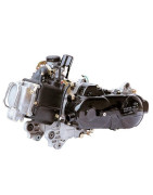 MOTOR - 139QMB 50cc 4T - Corto