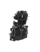 MOTEUR - CB250 - 166FMM