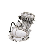 MOTOR - CB200 -163FML-Z5