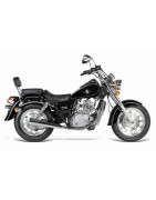 Dragon 125