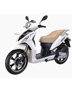 LIFAN Traveller 125cc (LF125T-9R )