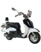 ZNEN Retro ZN50QT-E (4T-C) Carburacion Euro 3