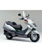 Honda JAZZ 250 / Honda Foresight 250 4t