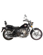 Regal Raptor Twin 250cc