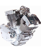 MOTOR - 2V49FMM (250cc)