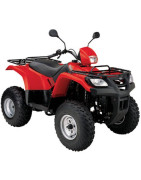 MEKO ATV 250 Automatico (PIONEER  XF250ATV-2)