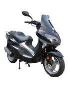 Hammel Sting 125