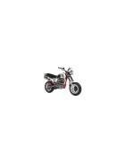 COBRA 125