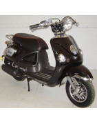 CERES CRS125 ZNEN ZN125T-E5