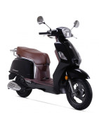 Zahara 125