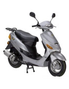 ZN50QT-11 (4T-C) (SJ)