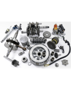 Piezas Motor Hanway Raw125