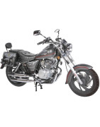 Volcano 125  (ZN125-6 Bicilindr)