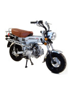 Dingo 125EFI Euro4 (SKYMAX  ST125-6)