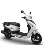 CARGO 125 (DY125T-28D)