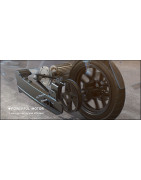 Piezas Motor Ecooter E2Max