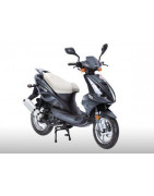 Python 125 (Zongnen ZNEN ZN125T-15)