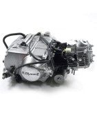 MOTOR - 139FMA-2 50cc Dax