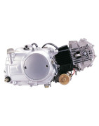 MOTOR - 147FMF-2G 90cc 4T