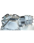 MOTOR - 1P52FMI 125cc 4T