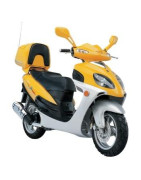 Dorton Urban 125 (QM125T-10D)