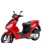 POLE 125cc 4t (LINGBEN LB125T-21 F2)