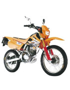 LIFAN Eagle 125 (LF125GY-6)