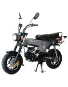 DAX SKYMAX Euro 5 ST125-6 (Zhongshen)