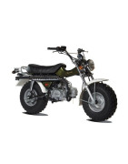 T-REX 125 Euro 3 Skyteam ST125-11