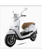 ZNEN CRUISE 125 - ZN125T-Y (ZNPA125 - ZNPAA)