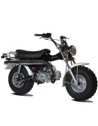 T-REX 125 Euro 3 SKYEAM ST125-11