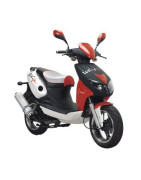 Raptor AA 50-2t (YY50QT-28A)  (2t) 