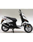 LIFAN S-RAY 50 2t (LF50QT-26A)