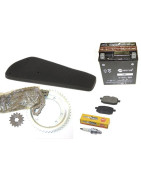 Entretien Accessoires T-REX 125 Euro 4 Skyteam ST125-11