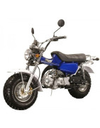 T-REX 125 Euro 4 SKYEAM ST125-11