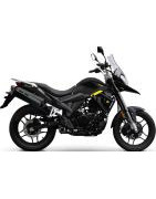 X-Nord 125 2020 EU4
