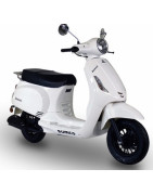 TIANYIN ROME TY125T-2D EFI Euro5 2021