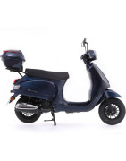 RIYA ROME 50