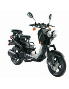 Scooter Robot 125 4t