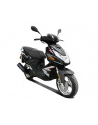 LIFAN S-RAY 50 4t (LF50QT-26)