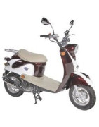 MTR Menorca 50 4t