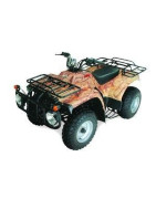 Quad LF250ST (Twin)