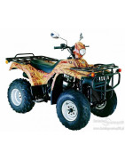 LIFAN QUAD LF250ST-2 (Single Cylind - Water Cooled)