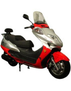 HONLEI HL125T-16 / SKYGO SG125T-16 (LIFAN)