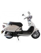 Legend 125 (ZN125T-E5)