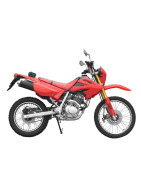 Wildlander WRC125GY-6 (Lifan LF125GY-6)